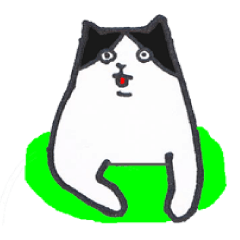 my name is hachi