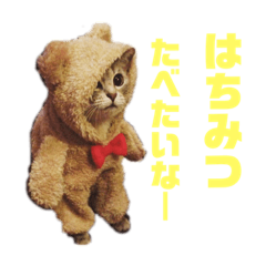rina_20200106215552