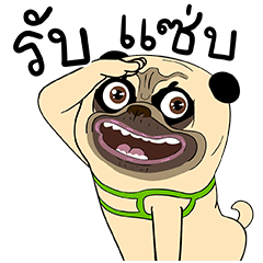 เหมา ว๊อตตะ ปั๊ก ป๊อป อัพ