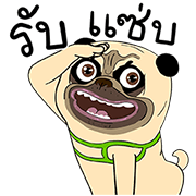 Mao Whatta Pug Pop-Ups