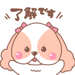 everyday momochan