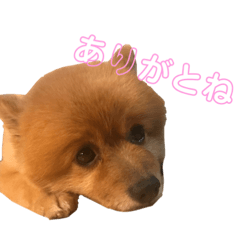 yun_20200106213451