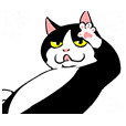 賓士貓Ohagi 3