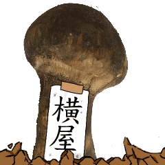 松茸研究家横屋さんのマツタケ