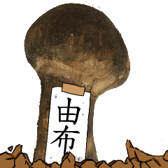 松茸研究家由布さんのマツタケ
