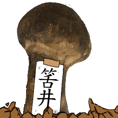 松茸研究家筈井さんのマツタケ