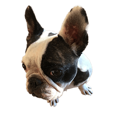 Miruchan is the best