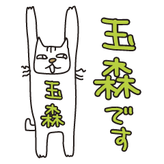 Only for Mr. Tamamori Banzai Cat