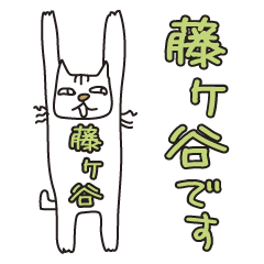 Only for Mr. Fujigaya Banzai Cat