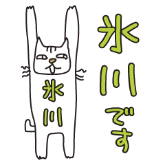 Only for Mr. Hikawa Banzai Cat