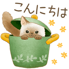 Cat Sticker Japanese Message Line Stickers Line Store