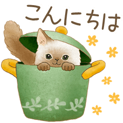 Cat Sticker Japanese Message Line Stickers Line Store