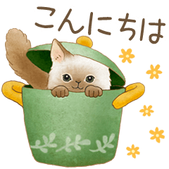 使いやすい☆猫たちのスタンプ - LINE スタンプ LINE STORE