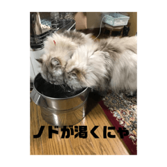 eri_20200107004840