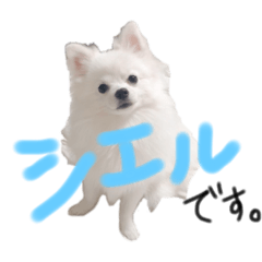 Arisa_20200107132909