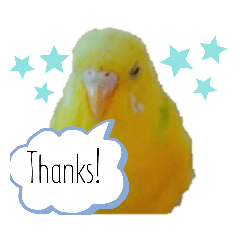 yurina_20200107141331