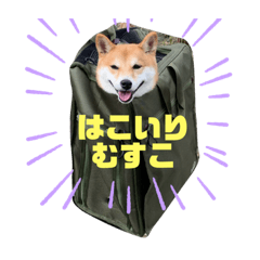 NATSUMI_20200107141732