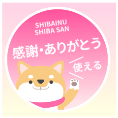 Shiba Inu Stickers-Thanks-