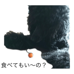 nanana_20200107152612