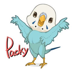 Packy of Budgie