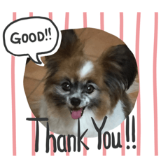 JUNKO_20200107180207