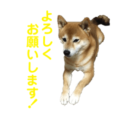 Ken_20200107183747