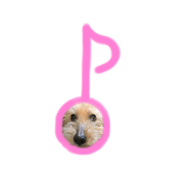 nanana_20200107202805