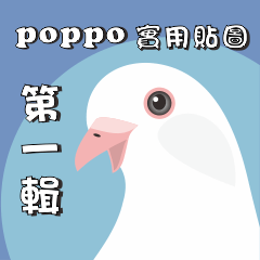 kiyokawa poppo