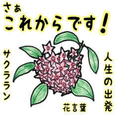Positive Flower Language And Greeting Line Stickers Line Store