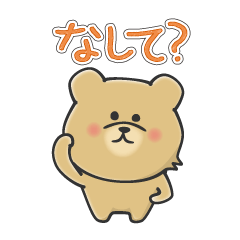 "쿠마"작은 곰 홋카이도 하나에 살고있다