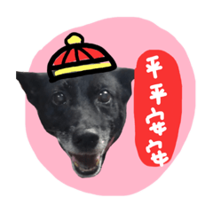 米克斯圓圓