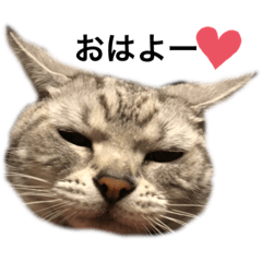 tomomi_20200107235629