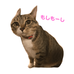 risa.moe.20200108005022