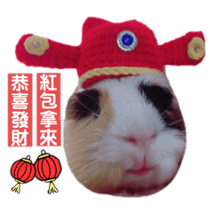 咕嚕的奇幻生活