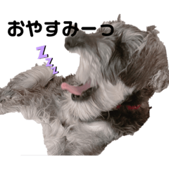 akiko_20200108143635