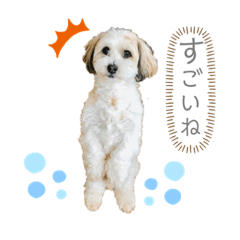 asuka_20200108163221