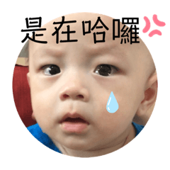 樂樂欠揍