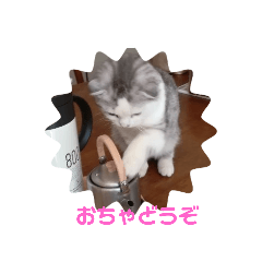 wasabi_20200108194131