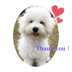 Cherry_20200108200404