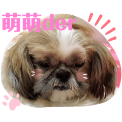 妞妞的生活紀錄
