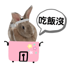 小胖專屬特輯3