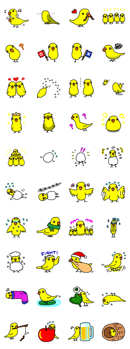 parakeets!