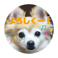 Saya_20200108203342