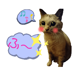 omochi_20200109014025