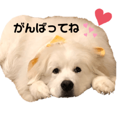 yukina_20200109000504