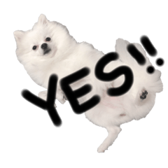 Arisa_20200109122411