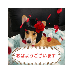 KAITO_20200109135233