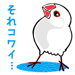 患者 扱う 巨大な ライン 無料 スタンプ 文鳥 Wheelies Jp 患者 扱う 巨大な ライン 無料 スタンプ 文鳥 Wheelies Jp