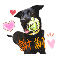 米克斯kimi Q生活