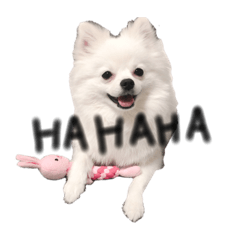 Arisa_20200109195151